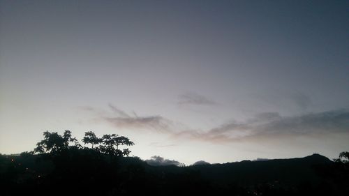 Low angle view of silhouette trees against sky