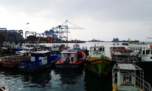 Boats in harbor with buildings in background