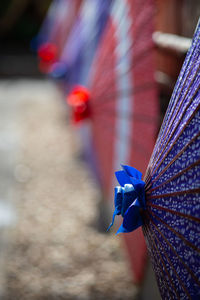 Close-up of japanese umbrella 