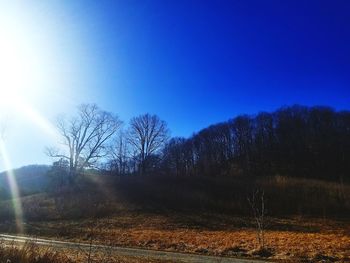 Scenic view of landscape against clear blue sky