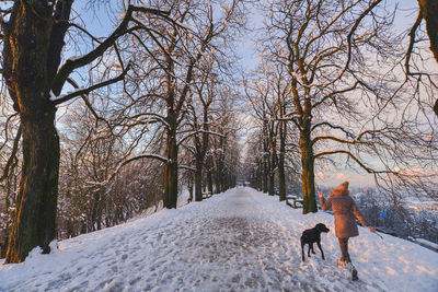 Rear view of dog walking on snow covered landscape