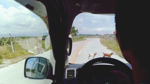Man seen through car window
