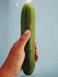 Cropped image of person holding leaf