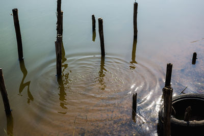 High angle view of wooden pole in water