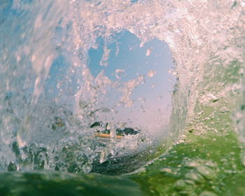 Trees in water