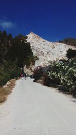 Man on road amidst trees against clear sky