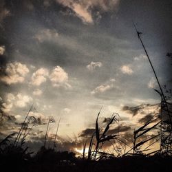 Low angle view of cloudy sky