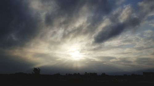 Low angle view of silhouette trees against sky during sunset