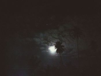 Low angle view of silhouette trees against sky at night