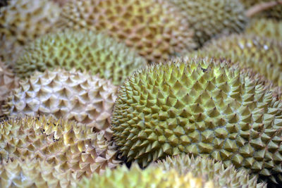 Full frame shot of durians for sale at market