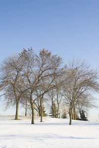 Scenic view of landscape against clear blue sky