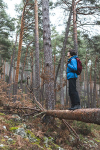 Rear view of man standing by trees in forest