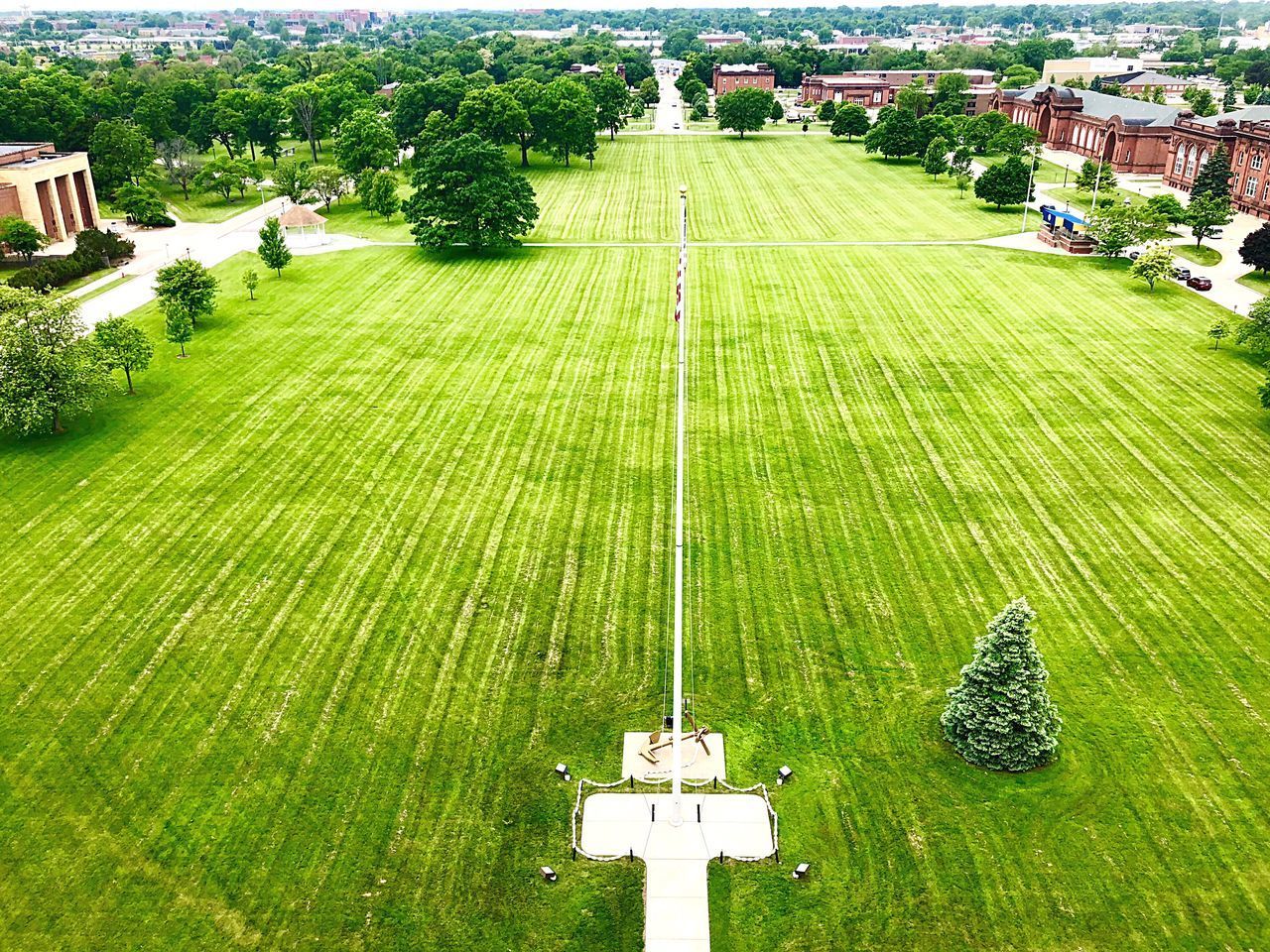 HIGH ANGLE VIEW OF GREEN TREE AND BUILDING