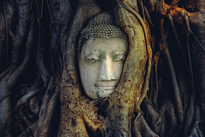 Close-up of statue against tree trunk