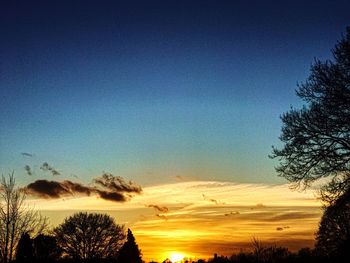 Low angle view of silhouette trees against sky during sunset