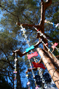 Low angle view of flower tree against sky