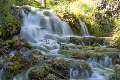 Scenic view of waterfall in forest