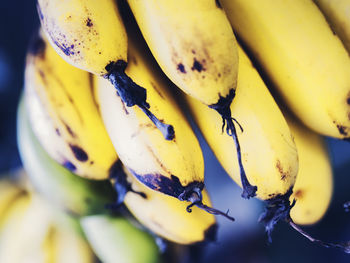 Close-up of bananas