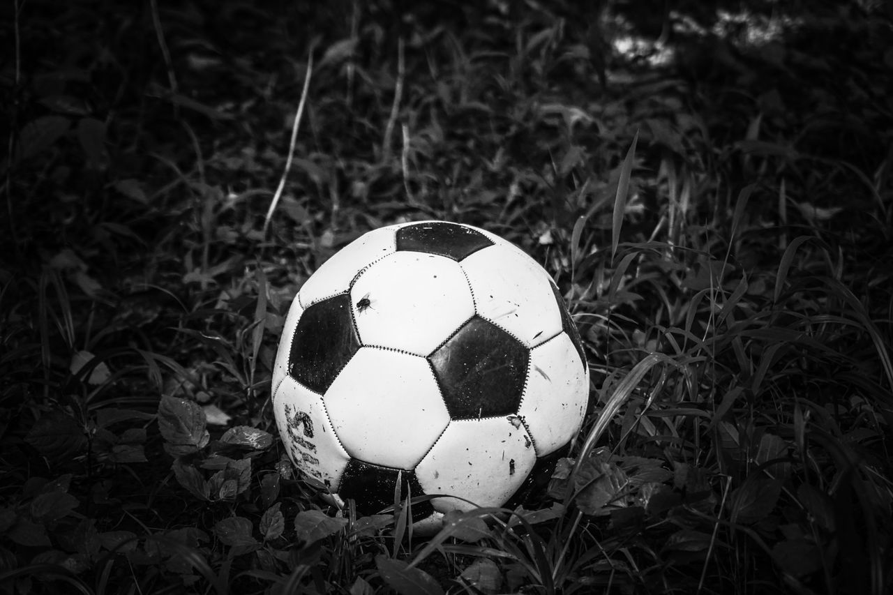 HIGH ANGLE VIEW OF SOCCER BALL IN FIELD