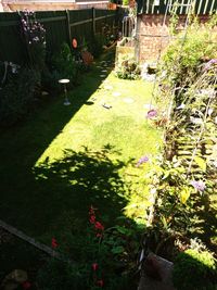 High angle view of houses in park