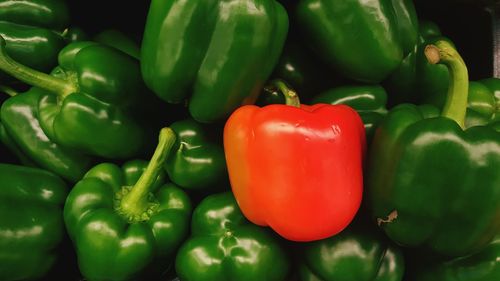 Close-up of fresh organic bell peppers