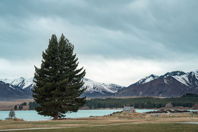 Beautiful view of lake tekapo in the morning. photo taken at winter season with snow capped alps.