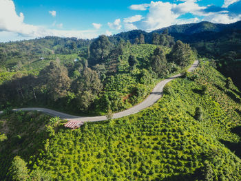 environment