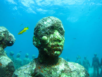 Underwater sculpture park at molinere bay