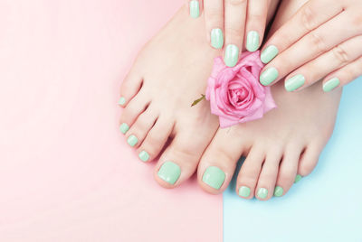 Female hands, legs with manicure and pedicure with flower on a pink, blue background, a top view