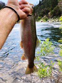 Midsection of man with fish in water