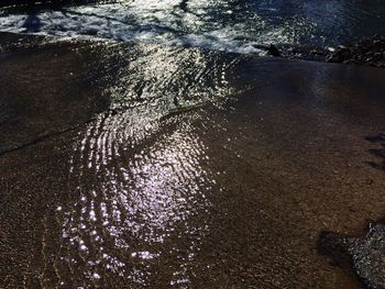 Reflection of trees in water