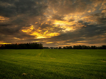 Scenic view of field against cloudy sky