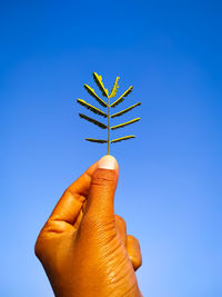 Low angle view of hand holding leaf against blue sky