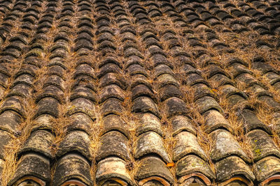 Old clay ceramic roofing tile with pine needles