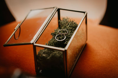 Pair of elegant wedding rings placed on green moss inside retro glass box during ceremony