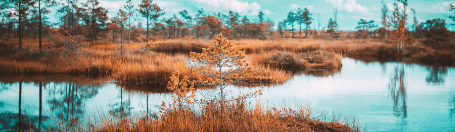 Scenic view of lake against sky during autumn