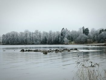 Ducks in lake against clear sky