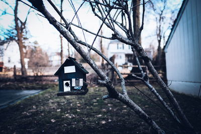 Close-up of birdhouse on tree against building