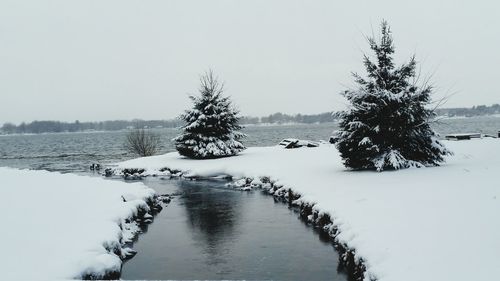 Bare trees on snow covered lake