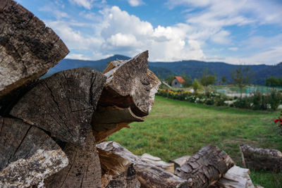 Close-up of rocks on field against sky