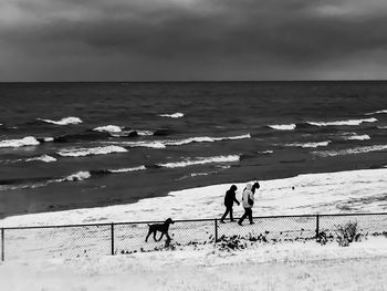Dog on beach by sea against sky