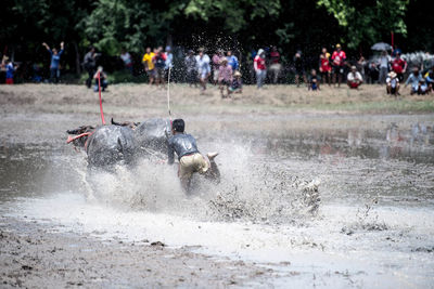 People enjoying in water