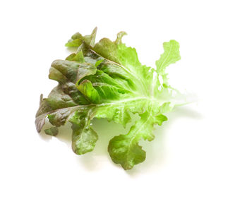 Close-up of vegetable over white background