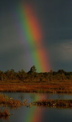 Scenic view of rainbow over lake against sky