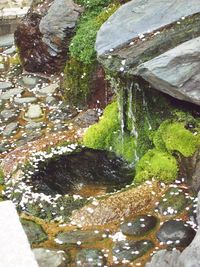 Stream flowing through rocks