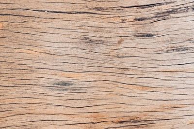 Close-up of weathered wooden plank