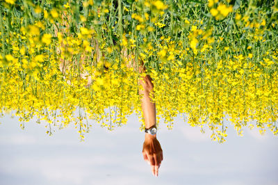 Upside down view of young woman with arm raised in oilseed rape field
