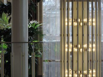 Reflection of palm trees in building