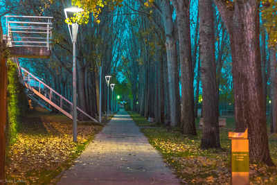 Road amidst trees during autumn