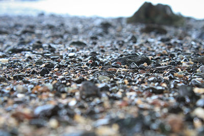 Surface level of stones on sand